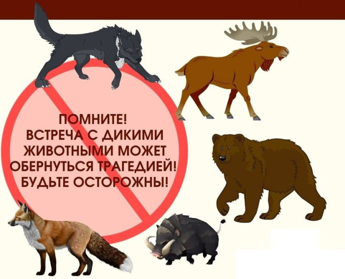 ВНИМАНИЕ!!! Дикие и безнадзорные животные!.